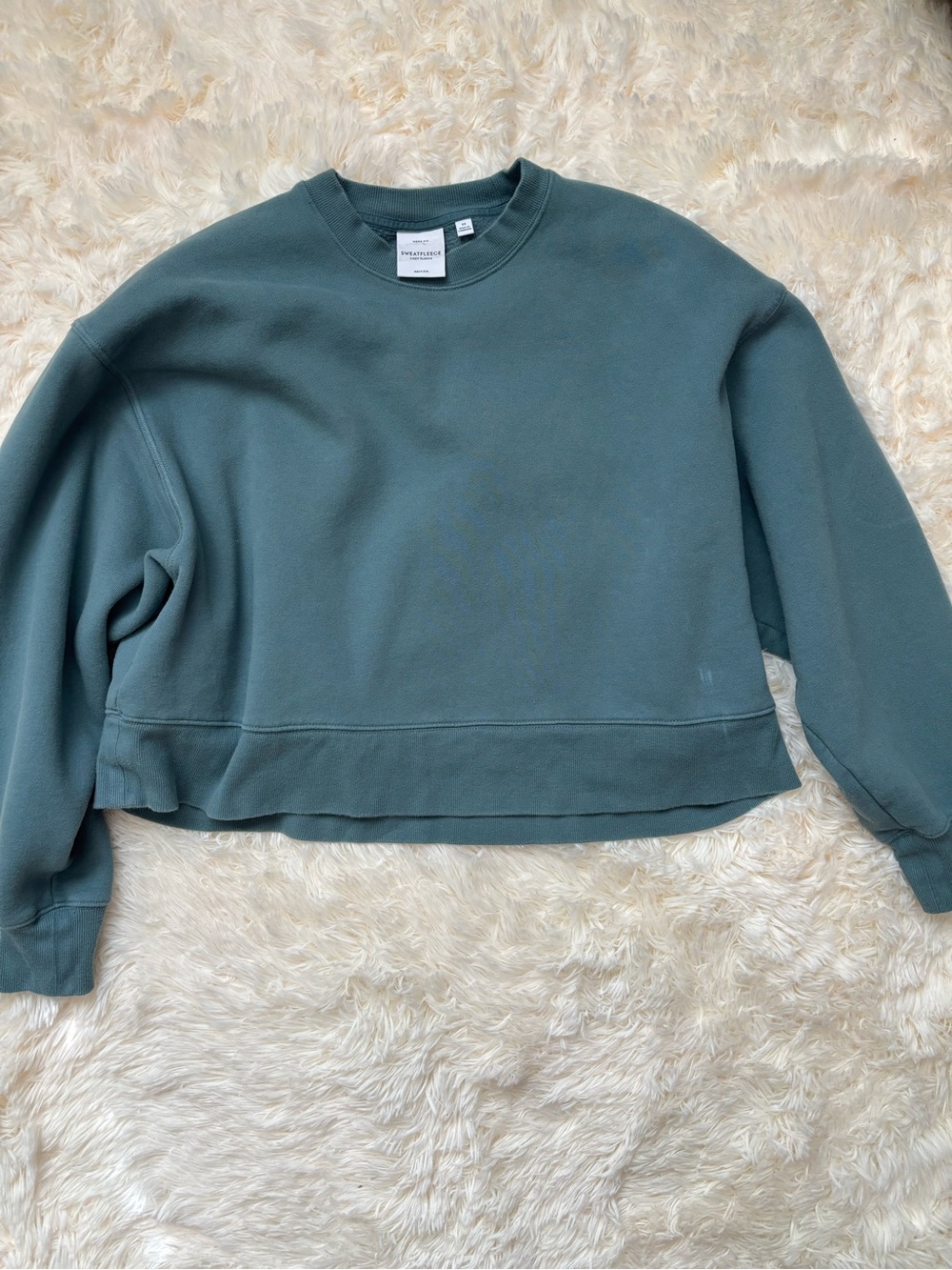 Aritzia Sweatfleece Cozy Fleece Mega Fit Cropped Crewneck Sweatshirt Sz M